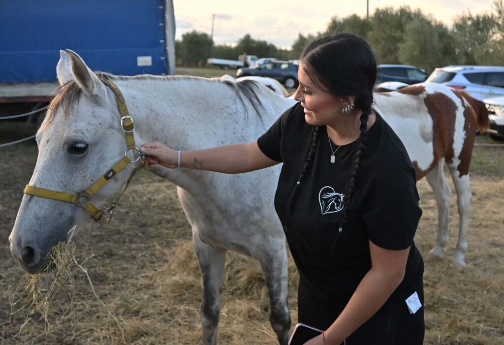 Cavallo alla Mostra del Carro Agricolo di Fratticciola 2026