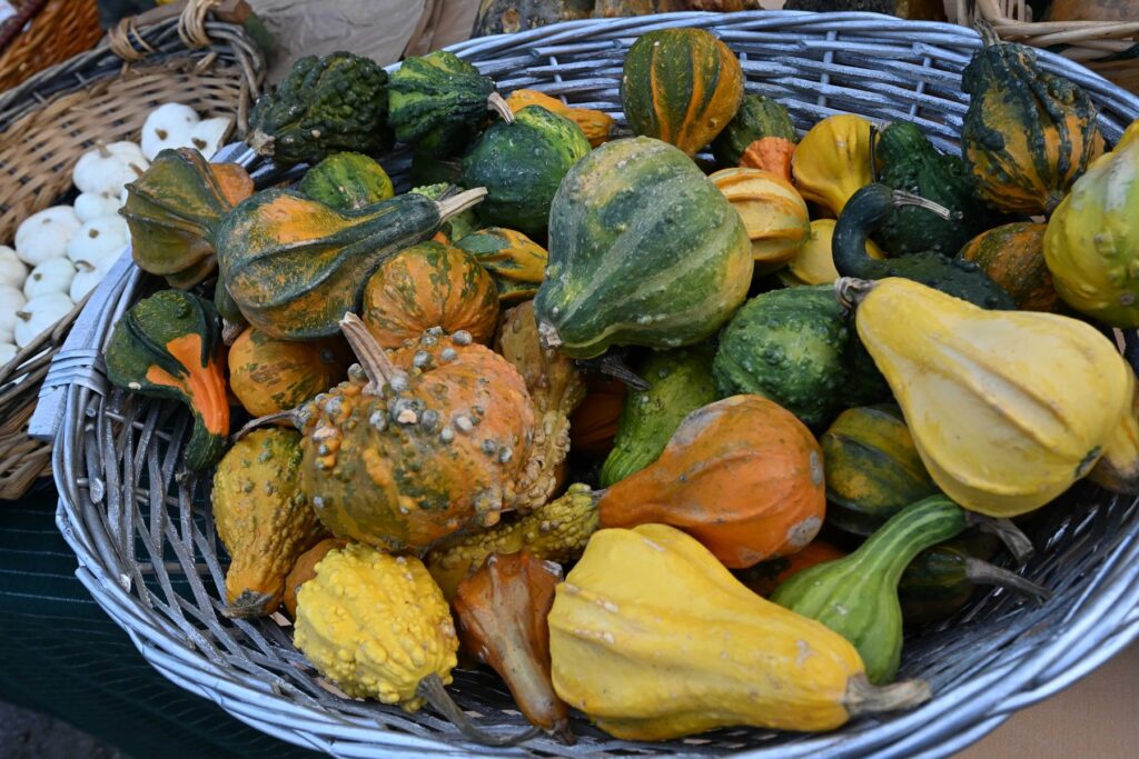 Zucche ornamentali alla Mostra del Carro Agricolo di Fratticciola 2026