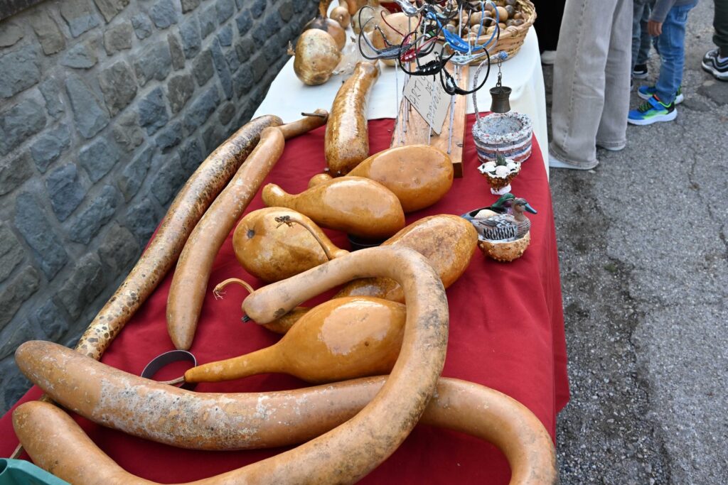 Esposizione di zucche alla Mostra del Carro Agricolo di Fratticciola 2026