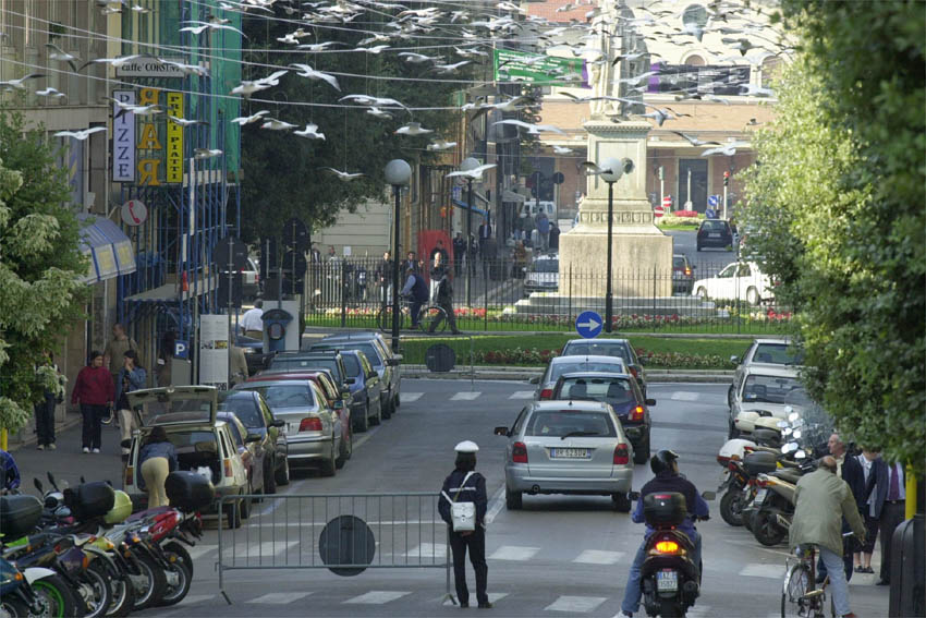 arezzo i gabbiani dimenticati sotto la maratona noi li abbiamo fotografati quando volavano da Lortica.it arezzo i gabbiani dimenticati sotto la maratona noi li abbiamo fotografati quando volavano