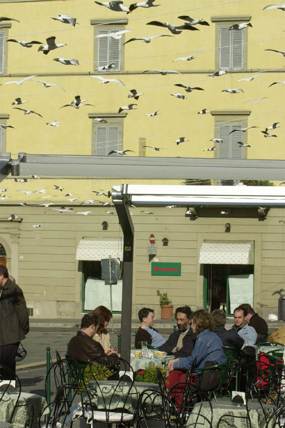 Gabbiani di plastica dell'installazione Cracking Art sopra i tavolini all'aperto di un bar di Arezzo nel 2001