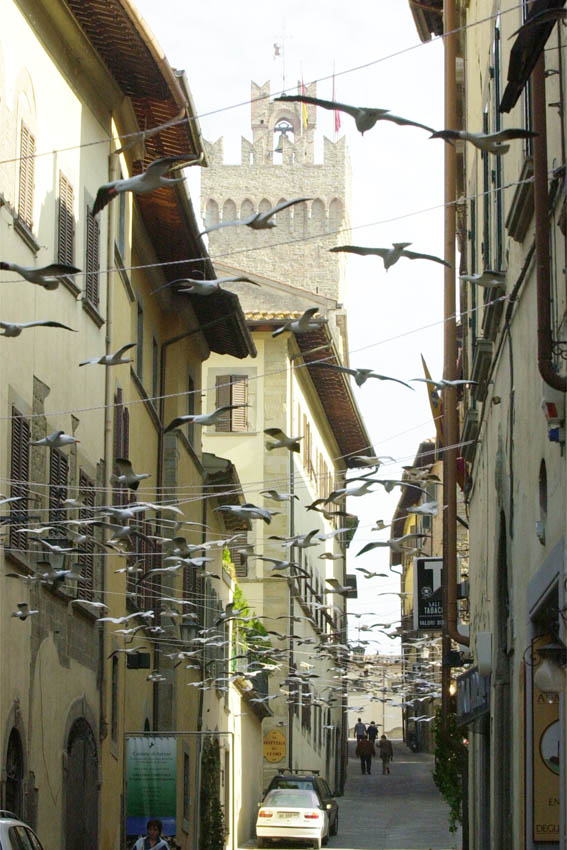 Gabbiani di plastica Cracking Art sospesi tra i palazzi di una strada del centro storico di Arezzo nel 2001