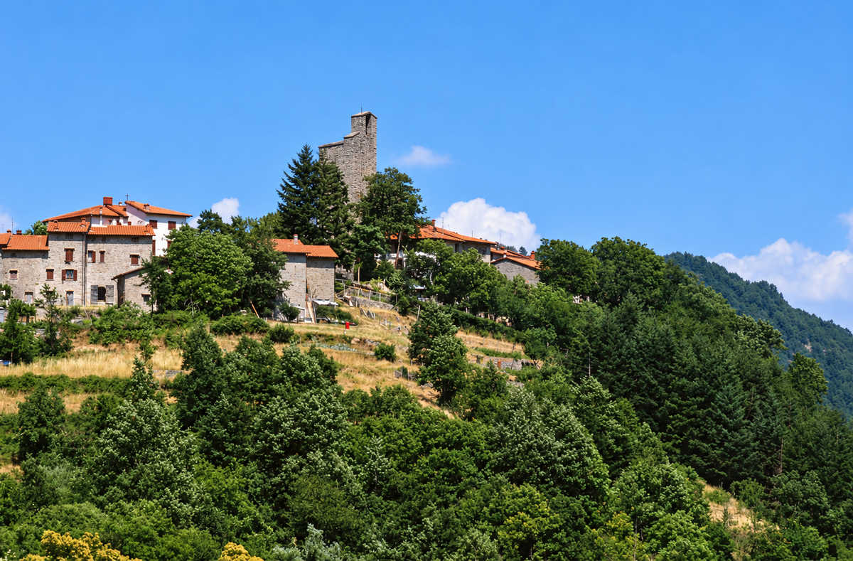 montemignaio morta in casa da mesi senza che nessuno se ne accorgesse da Lortica.it montemignaio morta in casa da mesi senza che nessuno se ne accorgesse