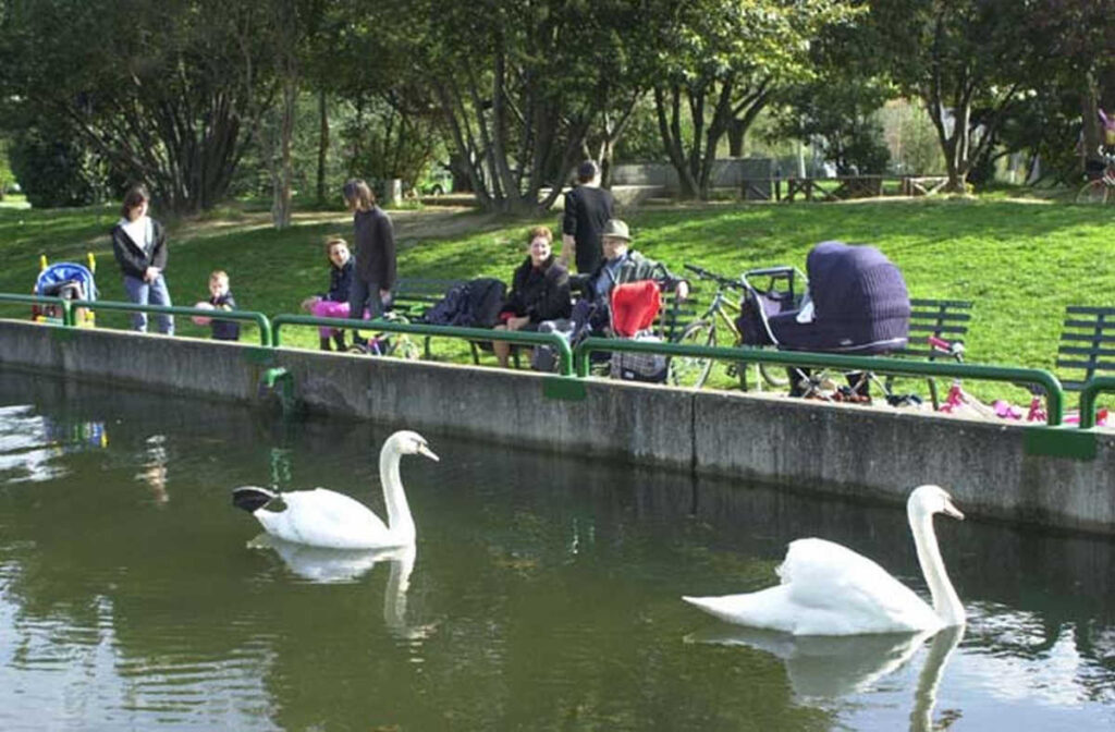 Laghetto del Parco Pertini ad Arezzo con due cigni nel 2000