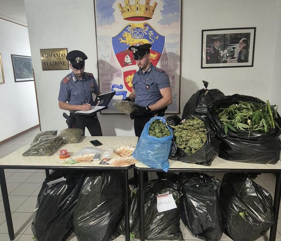 sansepolcro-carabinieri-sequestro-marijuana Carabinieri di Sansepolcro con marijuana e materiale sequestrato durante l'operazione.